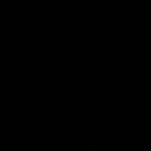 Meet your Posher, Diego